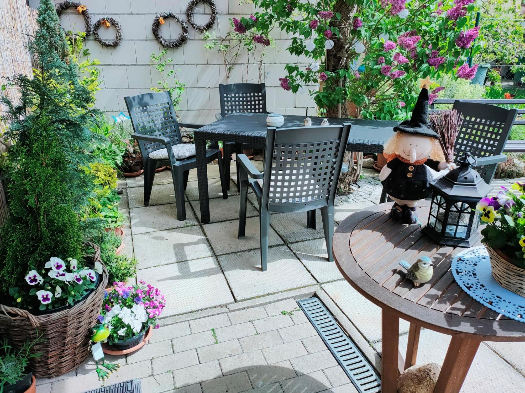Ferienhaus Alte Tante Apartment Thale Exterior foto